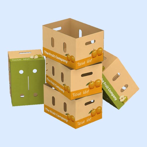Vegetables & Fruits Packaging Boxes