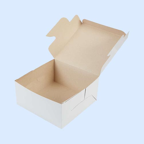 Plain Cake Box Manufacturer Ahmedabad