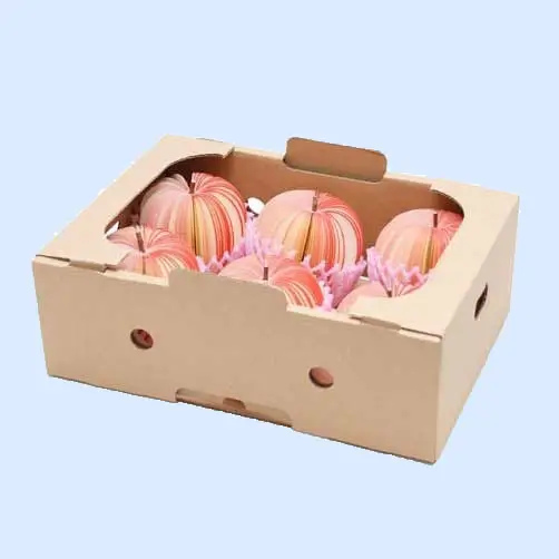 Rectangular Pomegranate Packaging Box